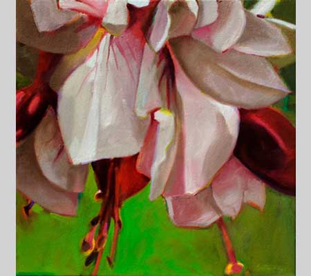 fuchsia petals in pink and red, called Pink Petticoats