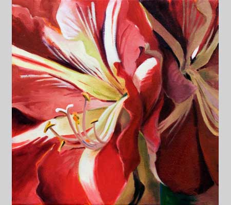 bold closeup of amaryllis petals and stamens in reds and creams called Flirtation