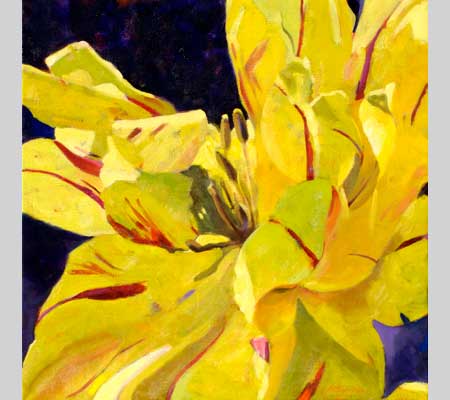 bold closeup of yellow parrot tulip with red accents, called Dressed for the Prom